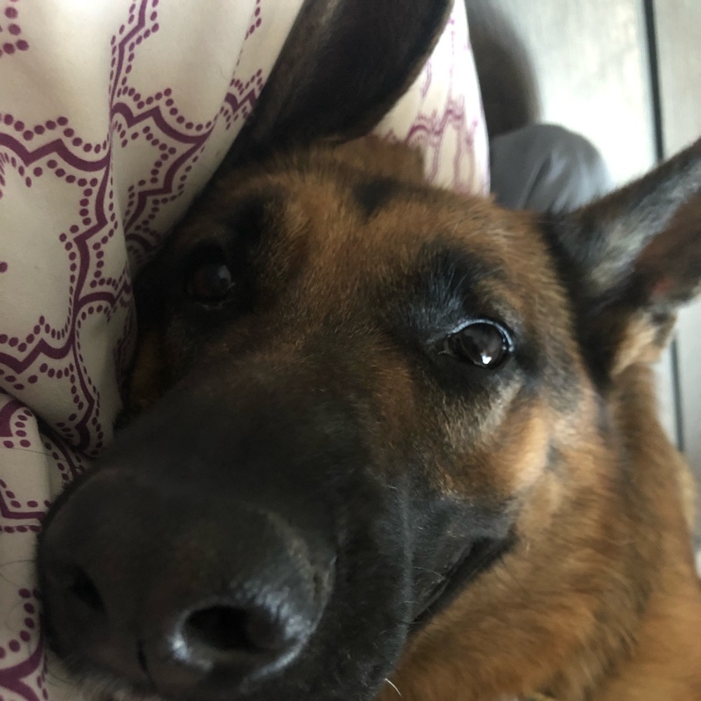 Meet your Posher, Samantha